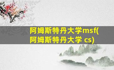 阿姆斯特丹大学msf(阿姆斯特丹大学 cs)